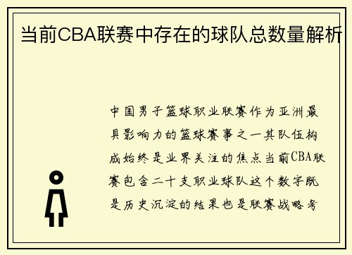 当前CBA联赛中存在的球队总数量解析